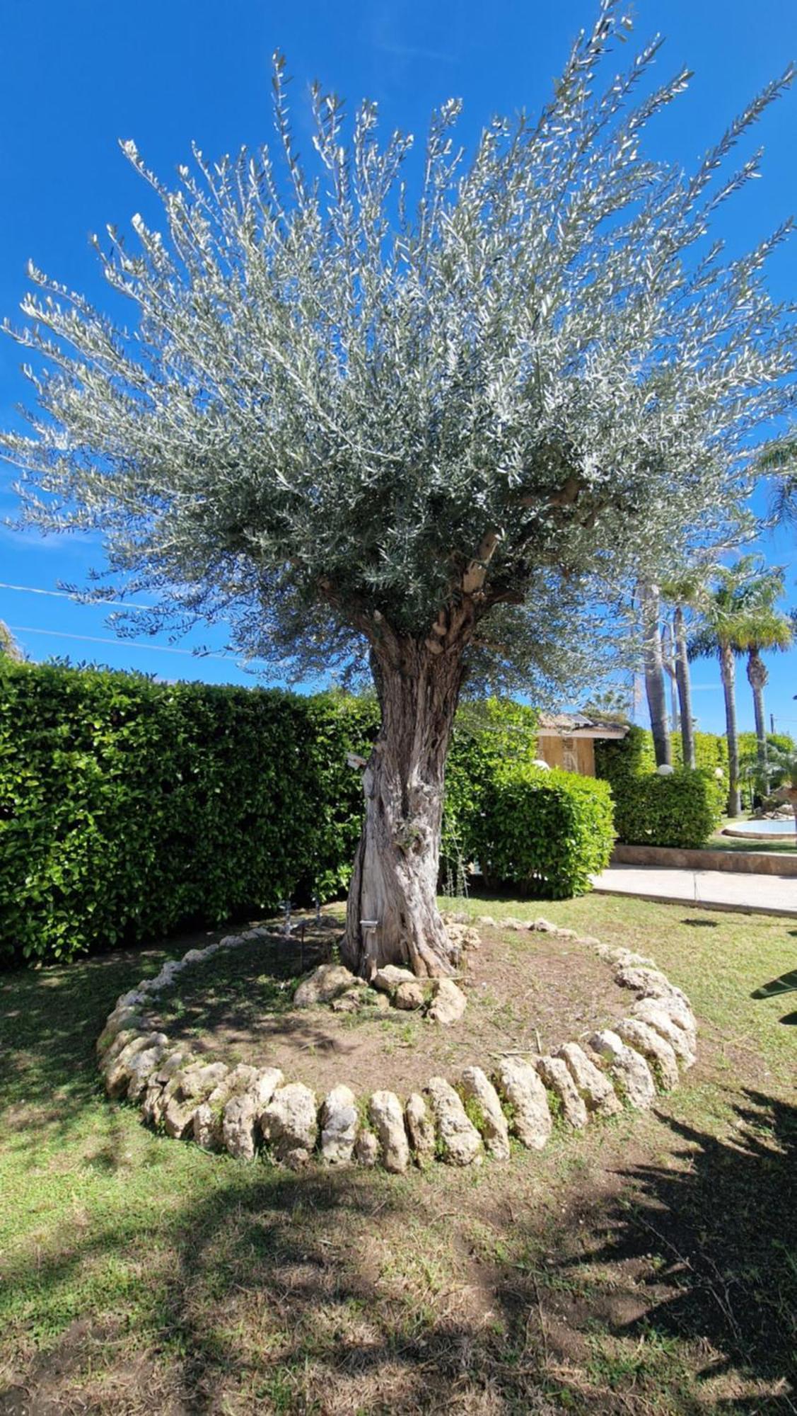 Villa Carlotta Brucoli Εξωτερικό φωτογραφία